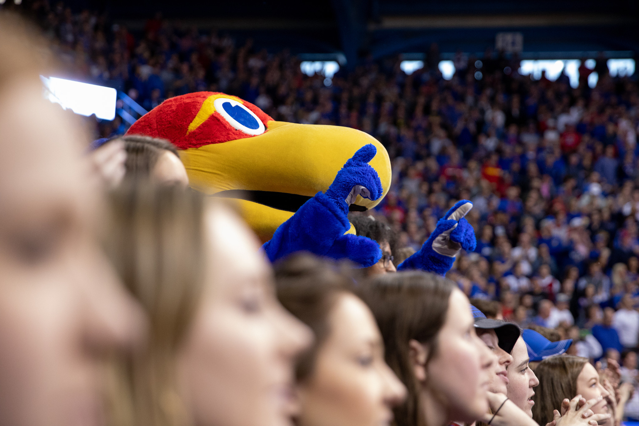 Fans with Big Jay mascot at KU game